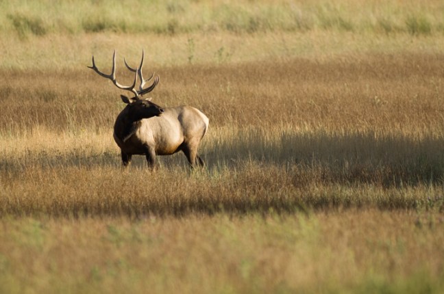 Michael Fuchs 110313 (4)