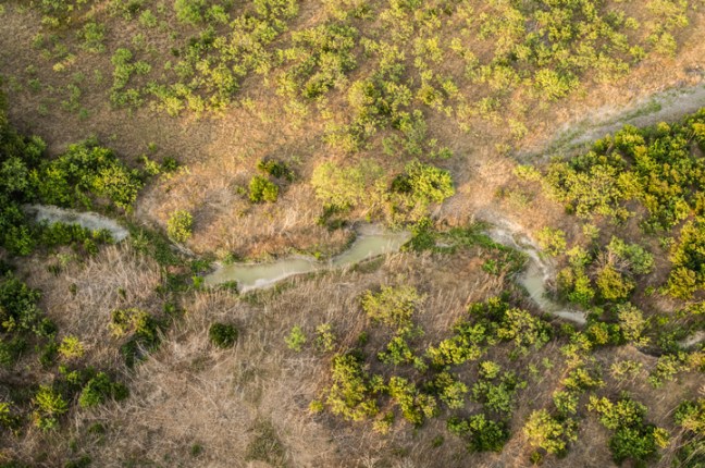 Michael Fuchs 111013 (1)