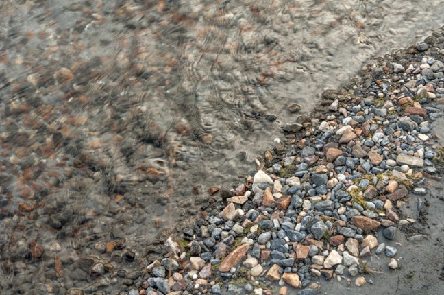 Michael Fuchs 111614 (1)