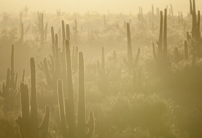 Michael Fuchs 111713 (5)