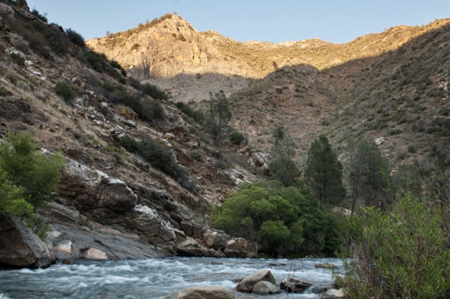 Michael Fuchs 113014 (2)