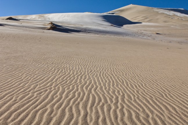 Michael Fuchs 113014 (3)