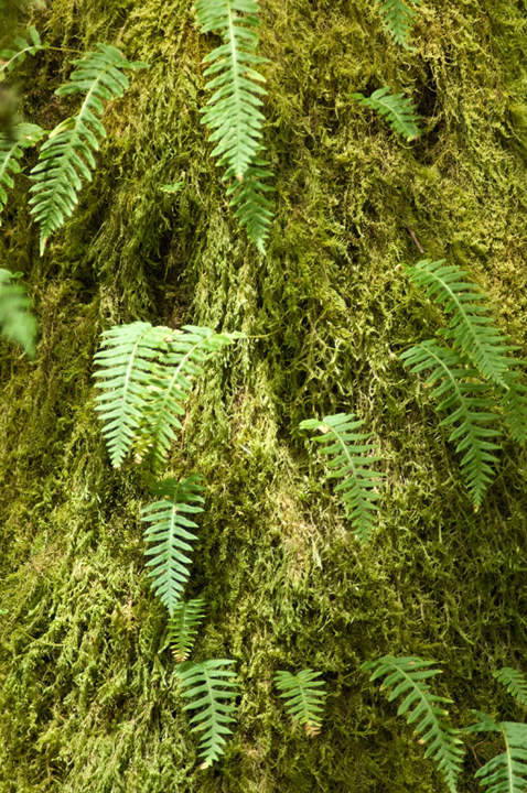 Michael Fuchs 120113 (4)