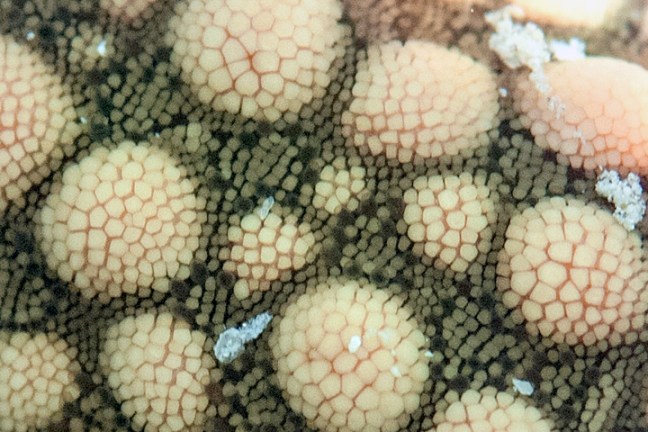 Michael Fuchs 120714 (5)