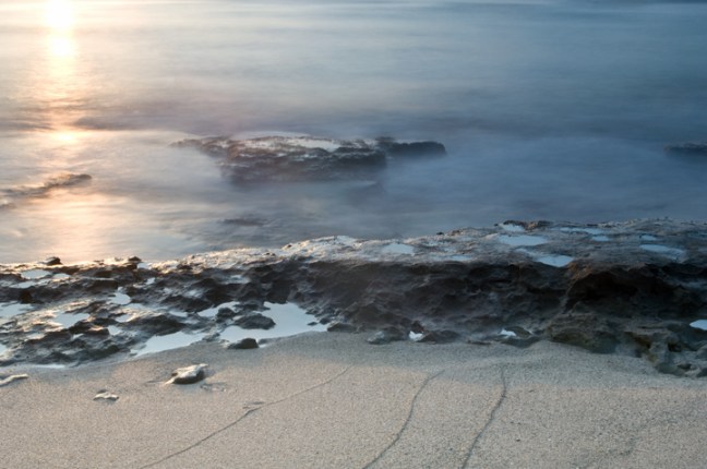 Michael Fuchs 120813 (1)