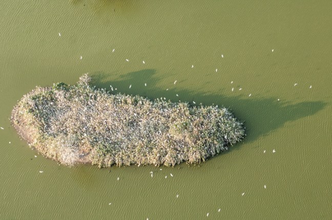 Michael Fuchs 120813 (2)