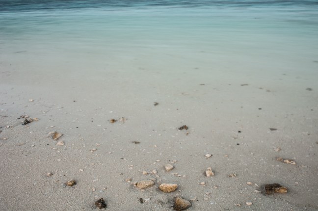 Michael Fuchs 120813 (5)