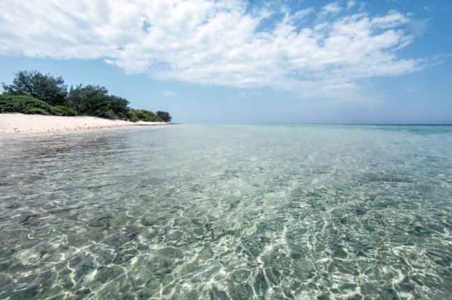 Michael Fuchs 121513 (1)