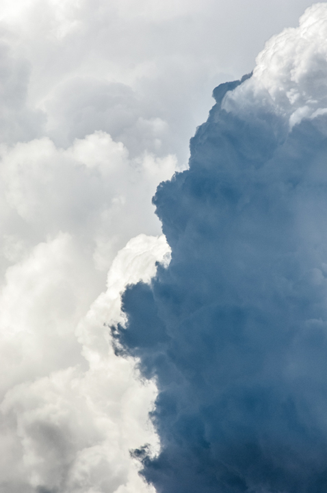 Michael Fuchs 121513 (5)