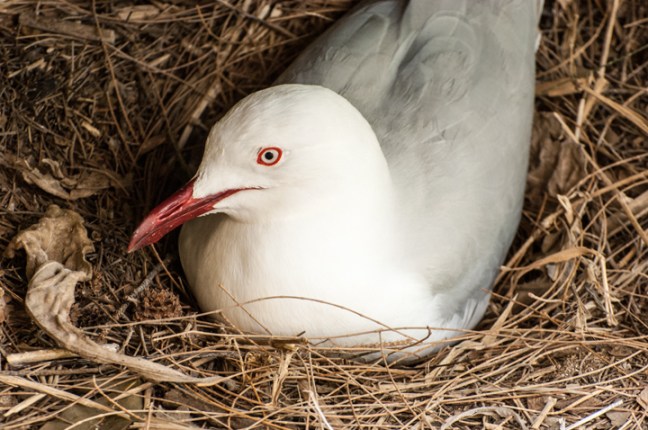 Michael Fuchs 122213 (2)