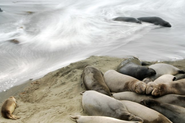 Michael Fuchs 122213 (4)