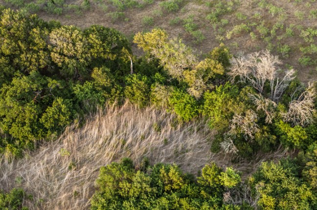 Michael Fuchs 122814 (2)