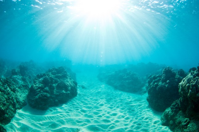 Michael Fuchs 122814 (5)