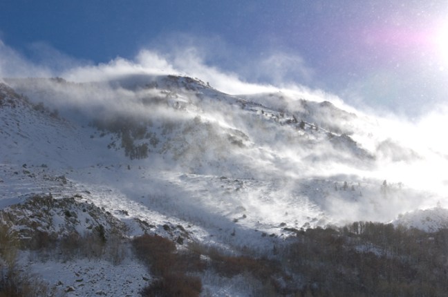 Michael Fuchs 122913 (4)