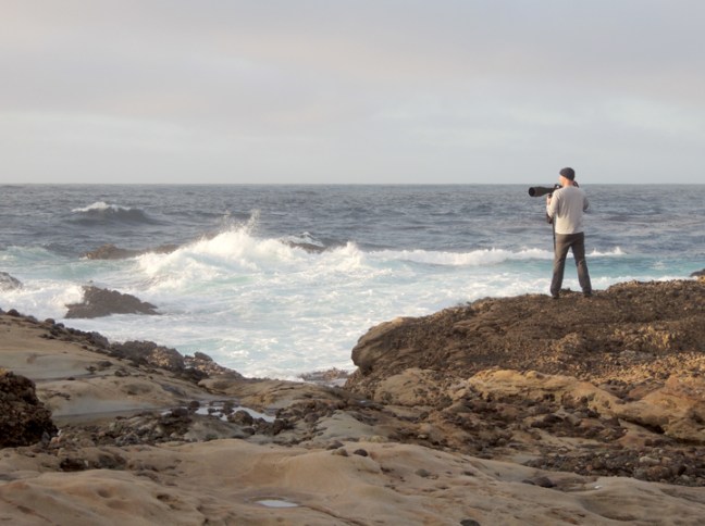 Credit: Yvonne Fuchs