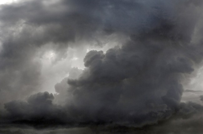 Michael Fuchs 010211 (3)