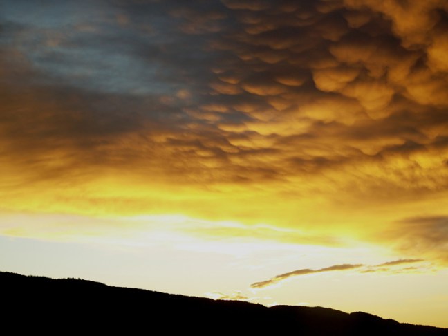 Michael Fuchs 010211 (4)