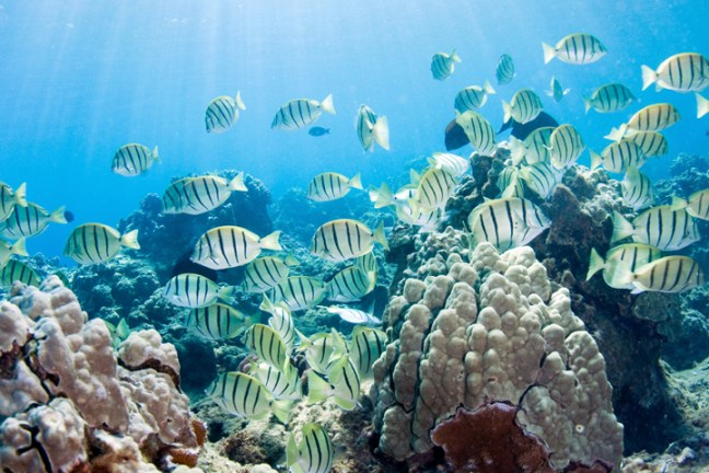 Michael Fuchs 010812 (1)