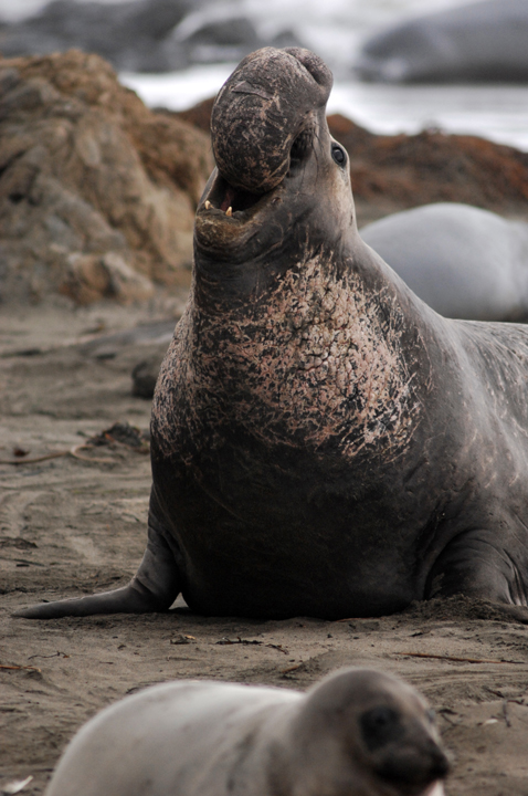 Michael Fuchs 010812 (2)