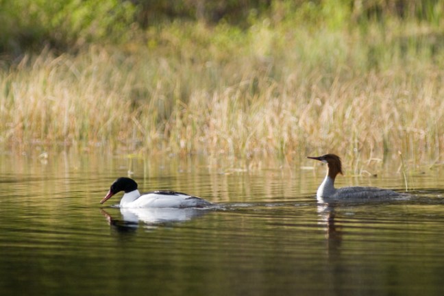 Michael Fuchs 010812 (4)