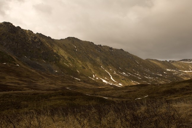 Michael Fuchs 011512 (1)