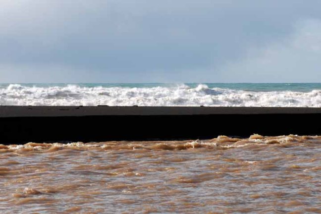 Michael Fuchs 011512 (2)