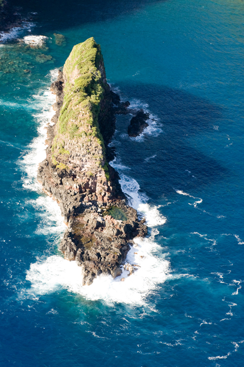 Michael Fuchs 012212 (1)