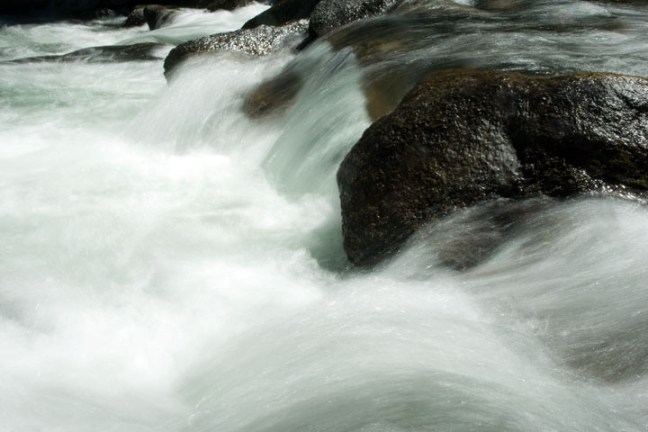 Michael Fuchs 012212 (2)