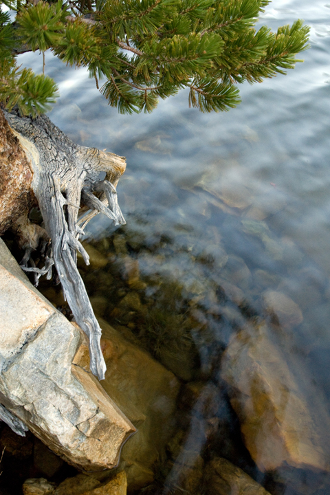 Michael Fuchs 012212 (3)