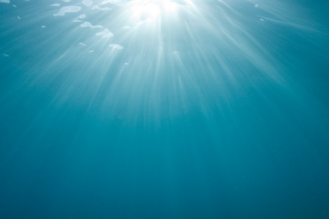 Michael Fuchs 012212 (4)