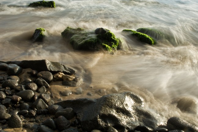 Michael Fuchs 012212 (5)