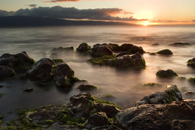 Michael Fuchs 012912