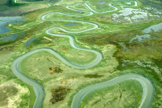 Michael Fuchs 020512 (2)