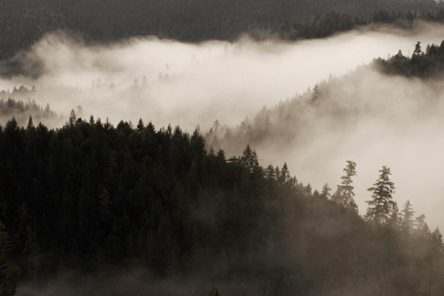 Michael Fuchs 021311 (3)