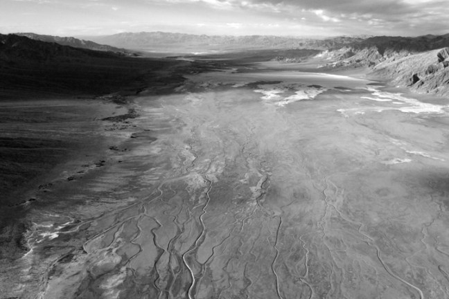 Michael Fuchs 021912 (1)