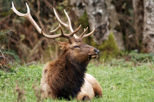 Michael Fuchs 022011 (5)