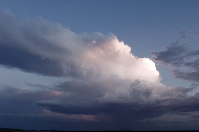 Michael Fuchs 030412 (1)