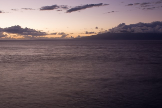 Michael Fuchs 031112 (3)