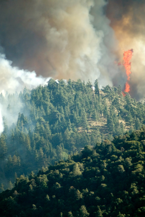 Michael Fuchs 031112 (4)