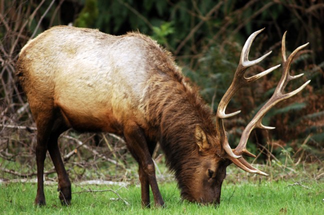 Michael Fuchs 031812 (1)