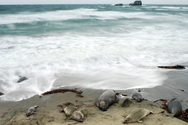 Michael Fuchs 031812 (2)