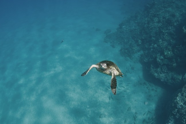 Michael Fuchs 031812 (4)