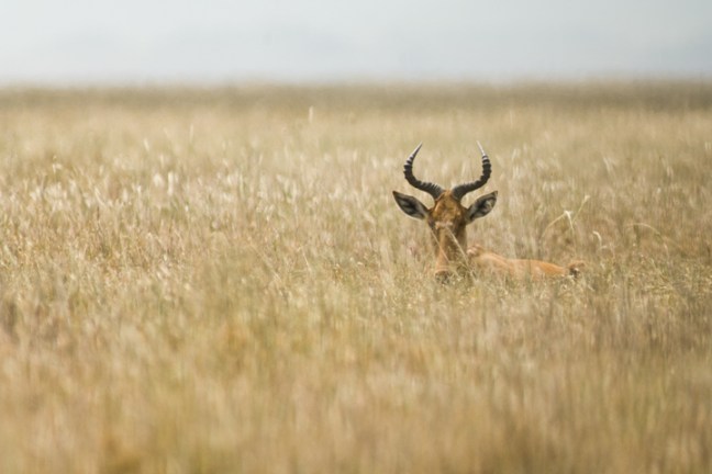 Michael Fuchs 031812 (5)