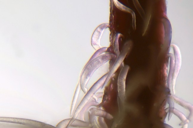 Michael Fuchs 032512 (4)