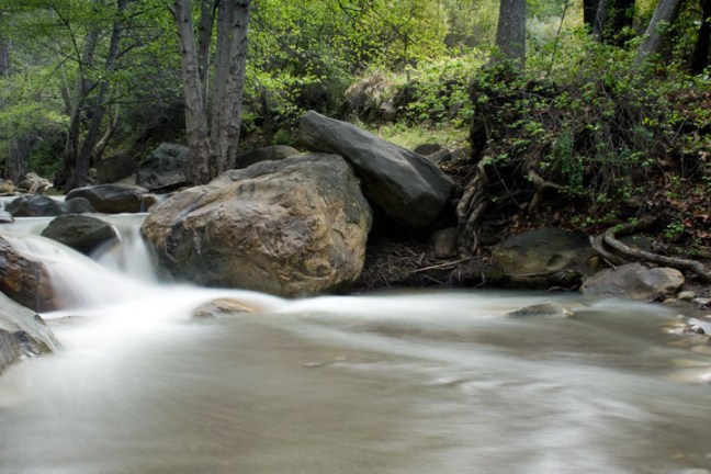 Michael Fuchs 040112 (2)