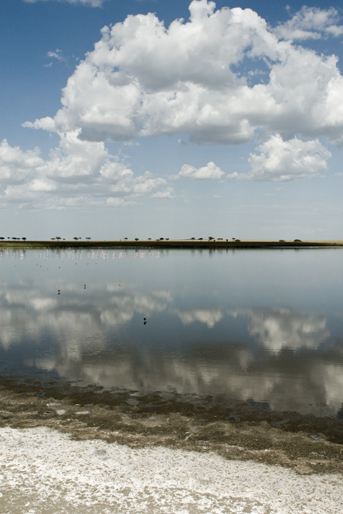 Michael Fuchs 040112 (3)