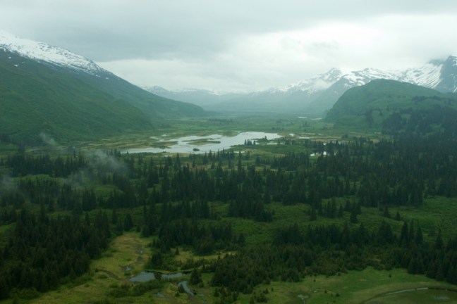 Michael Fuchs 040112 (5)