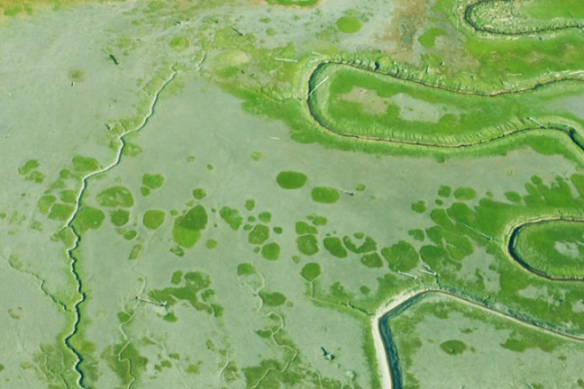 Michael Fuchs 040812 (1)