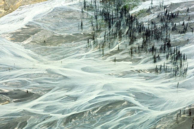 Michael Fuchs 040812 (3)