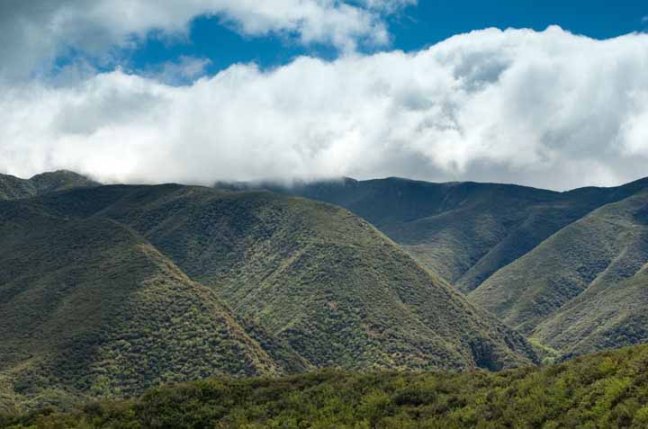 Michael Fuchs 041011 (1)